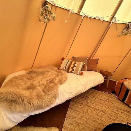 Comfort Tipi Marie, Tipi Bo Deluxe & Tent Nicolai - 'Glamping In Stijl' Lembeke Exterior photo