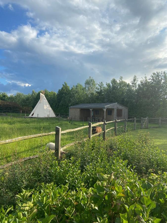 Comfort Tipi Marie, Tipi Bo Deluxe & Tent Nicolai - 'Glamping In Stijl' Lembeke Exterior photo